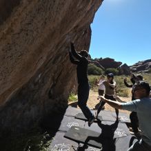 Filename: SRM_20251110_1144181.jpg
Aperture: f/5.6
Shutter Speed: 1/800
Body: Canon EOS R6
Lens: Canon EF 16-35mm f/2.8 L