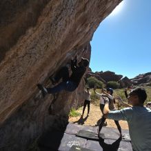 Filename: SRM_20251110_1144210.jpg
Aperture: f/5.6
Shutter Speed: 1/800
Body: Canon EOS R6
Lens: Canon EF 16-35mm f/2.8 L