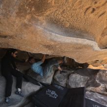 Filename: SRM_20251110_1253400.jpg
Aperture: f/5.6
Shutter Speed: 1/500
Body: Canon EOS R6
Lens: Canon EF 16-35mm f/2.8 L