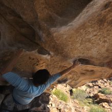 Filename: SRM_20251110_1254070.jpg
Aperture: f/5.6
Shutter Speed: 1/500
Body: Canon EOS R6
Lens: Canon EF 16-35mm f/2.8 L