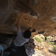 Filename: SRM_20251110_1326020.jpg
Aperture: f/5.6
Shutter Speed: 1/500
Body: Canon EOS R6
Lens: Canon EF 16-35mm f/2.8 L