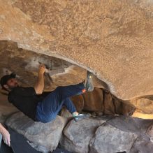 Filename: SRM_20251110_1331193.jpg
Aperture: f/5.6
Shutter Speed: 1/500
Body: Canon EOS R6
Lens: Canon EF 16-35mm f/2.8 L