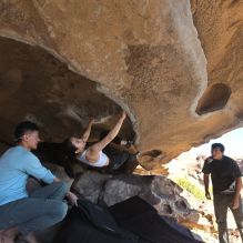 Filename: SRM_20251110_1334370.jpg
Aperture: f/5.6
Shutter Speed: 1/500
Body: Canon EOS R6
Lens: Canon EF 16-35mm f/2.8 L