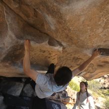 Filename: SRM_20251110_1338400.jpg
Aperture: f/5.6
Shutter Speed: 1/500
Body: Canon EOS R6
Lens: Canon EF 16-35mm f/2.8 L