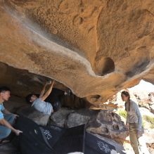 Filename: SRM_20251110_1400330.jpg
Aperture: f/5.6
Shutter Speed: 1/500
Body: Canon EOS R6
Lens: Canon EF 16-35mm f/2.8 L