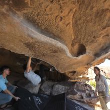 Filename: SRM_20251110_1400350.jpg
Aperture: f/5.6
Shutter Speed: 1/500
Body: Canon EOS R6
Lens: Canon EF 16-35mm f/2.8 L