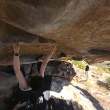 Filename: SRM_20251110_1407400.jpg
Aperture: f/5.6
Shutter Speed: 1/500
Body: Canon EOS R6
Lens: Canon EF 16-35mm f/2.8 L