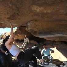 Filename: SRM_20251110_1446420.jpg
Aperture: f/5.6
Shutter Speed: 1/500
Body: Canon EOS R6
Lens: Canon EF 16-35mm f/2.8 L