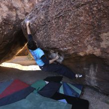 Filename: SRM_20251124_1000181.jpg
Aperture: f/5.6
Shutter Speed: 1/500
Body: Canon EOS R6
Lens: Canon EF 16-35mm f/2.8 L