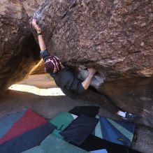 Filename: SRM_20251124_1001110.jpg
Aperture: f/5.6
Shutter Speed: 1/500
Body: Canon EOS R6
Lens: Canon EF 16-35mm f/2.8 L