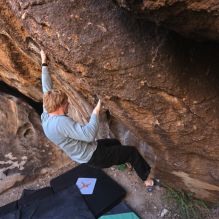 Filename: SRM_20251124_1008360.jpg
Aperture: f/4.5
Shutter Speed: 1/500
Body: Canon EOS R6
Lens: Canon EF 16-35mm f/2.8 L