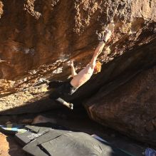 

Filename: SRM_20251124_1526560.jpg
Aperture: f/4.0
Shutter Speed: 1/500
Body: Canon EOS R6
Lens: Canon EF 16-35mm f/2.8 L