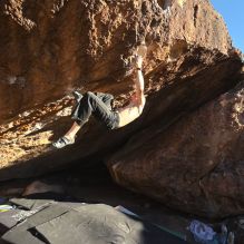 

Filename: SRM_20251124_1526590.jpg
Aperture: f/4.0
Shutter Speed: 1/500
Body: Canon EOS R6
Lens: Canon EF 16-35mm f/2.8 L