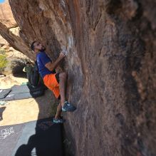 

Filename: SRM_20251126_1053460.jpg
Aperture: f/5.6
Shutter Speed: 1/1000
Body: Canon EOS R6
Lens: Canon EF 16-35mm f/2.8 L