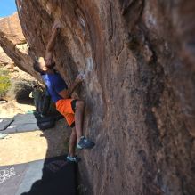 

Filename: SRM_20251126_1053470.jpg
Aperture: f/5.6
Shutter Speed: 1/1000
Body: Canon EOS R6
Lens: Canon EF 16-35mm f/2.8 L