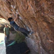 

Filename: SRM_20251126_1054560.jpg
Aperture: f/5.6
Shutter Speed: 1/1000
Body: Canon EOS R6
Lens: Canon EF 16-35mm f/2.8 L