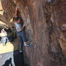 

Filename: SRM_20251126_1100560.jpg
Aperture: f/5.6
Shutter Speed: 1/1000
Body: Canon EOS R6
Lens: Canon EF 16-35mm f/2.8 L