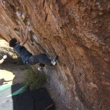 

Filename: SRM_20251126_1105370.jpg
Aperture: f/5.6
Shutter Speed: 1/1000
Body: Canon EOS R6
Lens: Canon EF 16-35mm f/2.8 L