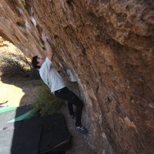 

Filename: SRM_20251126_1106120.jpg
Aperture: f/5.6
Shutter Speed: 1/1000
Body: Canon EOS R6
Lens: Canon EF 16-35mm f/2.8 L