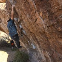 

Filename: SRM_20251126_1109020.jpg
Aperture: f/5.6
Shutter Speed: 1/1000
Body: Canon EOS R6
Lens: Canon EF 16-35mm f/2.8 L