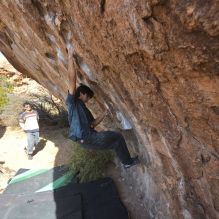 

Filename: SRM_20251126_1114080.jpg
Aperture: f/5.6
Shutter Speed: 1/1000
Body: Canon EOS R6
Lens: Canon EF 16-35mm f/2.8 L