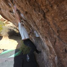 

Filename: SRM_20251126_1114410.jpg
Aperture: f/5.6
Shutter Speed: 1/1000
Body: Canon EOS R6
Lens: Canon EF 16-35mm f/2.8 L