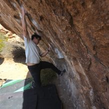 

Filename: SRM_20251126_1114420.jpg
Aperture: f/5.6
Shutter Speed: 1/1000
Body: Canon EOS R6
Lens: Canon EF 16-35mm f/2.8 L