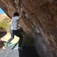 

Filename: SRM_20251126_1114470.jpg
Aperture: f/5.6
Shutter Speed: 1/1000
Body: Canon EOS R6
Lens: Canon EF 16-35mm f/2.8 L