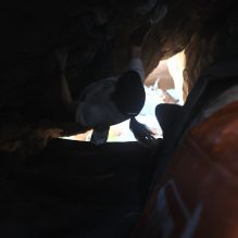 

Filename: SRM_20251126_1238330.jpg
Aperture: f/2.2
Shutter Speed: 1/320
Body: Canon EOS R6
Lens: Canon EF 50mm f/1.8 II