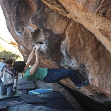 

Filename: SRM_20251126_1505400.jpg
Aperture: f/4.0
Shutter Speed: 1/400
Body: Canon EOS R6
Lens: Canon EF 16-35mm f/2.8 L