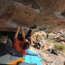 

Filename: SRM_20251128_1122300.jpg
Aperture: f/4.0
Shutter Speed: 1/400
Body: Canon EOS R6
Lens: Canon EF 16-35mm f/2.8 L