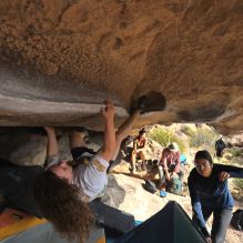 

Filename: SRM_20251128_1131370.jpg
Aperture: f/4.0
Shutter Speed: 1/400
Body: Canon EOS R6
Lens: Canon EF 16-35mm f/2.8 L