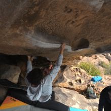 

Filename: SRM_20251128_1137050.jpg
Aperture: f/4.0
Shutter Speed: 1/400
Body: Canon EOS R6
Lens: Canon EF 16-35mm f/2.8 L