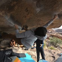 

Filename: SRM_20251128_1148080.jpg
Aperture: f/4.0
Shutter Speed: 1/400
Body: Canon EOS R6
Lens: Canon EF 16-35mm f/2.8 L