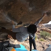 

Filename: SRM_20251128_1148081.jpg
Aperture: f/4.0
Shutter Speed: 1/400
Body: Canon EOS R6
Lens: Canon EF 16-35mm f/2.8 L