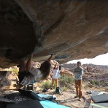 

Filename: SRM_20251128_1159520.jpg
Aperture: f/4.0
Shutter Speed: 1/320
Body: Canon EOS R6
Lens: Canon EF 16-35mm f/2.8 L