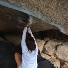 Filename: SRM_20251128_1205350.jpg
Aperture: f/4.0
Shutter Speed: 1/125
Body: Canon EOS R6
Lens: Canon EF 16-35mm f/2.8 L