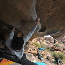 

Filename: SRM_20251128_1209280.jpg
Aperture: f/4.0
Shutter Speed: 1/320
Body: Canon EOS R6
Lens: Canon EF 16-35mm f/2.8 L