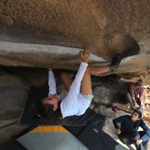 

Filename: SRM_20251128_1220090.jpg
Aperture: f/4.0
Shutter Speed: 1/500
Body: Canon EOS R6
Lens: Canon EF 16-35mm f/2.8 L