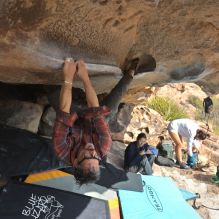 

Filename: SRM_20251128_1222221.jpg
Aperture: f/4.0
Shutter Speed: 1/400
Body: Canon EOS R6
Lens: Canon EF 16-35mm f/2.8 L