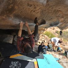 

Filename: SRM_20251128_1222300.jpg
Aperture: f/4.0
Shutter Speed: 1/500
Body: Canon EOS R6
Lens: Canon EF 16-35mm f/2.8 L