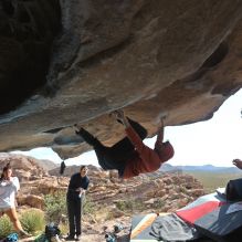 

Filename: SRM_20251128_1239050.jpg
Aperture: f/4.0
Shutter Speed: 1/500
Body: Canon EOS R6
Lens: Canon EF 16-35mm f/2.8 L