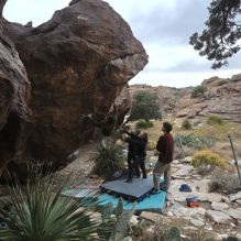 Filename: SRM_20260101_1123460.jpg
Aperture: f/5.6
Shutter Speed: 1/500
Body: Canon EOS R6
Lens: Canon EF 16-35mm f/2.8 L