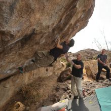 Filename: SRM_20260101_1215041.jpg
Aperture: f/5.0
Shutter Speed: 1/500
Body: Canon EOS R6
Lens: Canon EF 16-35mm f/2.8 L