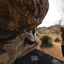 Filename: SRM_20260104_1009220.jpg
Aperture: f/5.6
Shutter Speed: 1/500
Body: Canon EOS R6
Lens: Canon EF 16-35mm f/2.8 L