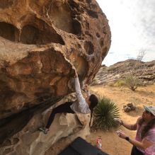 Filename: SRM_20260104_1009330.jpg
Aperture: f/5.6
Shutter Speed: 1/500
Body: Canon EOS R6
Lens: Canon EF 16-35mm f/2.8 L