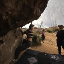 

Filename: SRM_20260104_1016190.jpg
Aperture: f/5.6
Shutter Speed: 1/500
Body: Canon EOS R6
Lens: Canon EF 16-35mm f/2.8 L