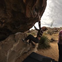 

Filename: SRM_20260104_1016230.jpg
Aperture: f/5.6
Shutter Speed: 1/500
Body: Canon EOS R6
Lens: Canon EF 16-35mm f/2.8 L