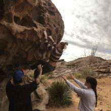 

Filename: SRM_20260104_1016400.jpg
Aperture: f/5.6
Shutter Speed: 1/500
Body: Canon EOS R6
Lens: Canon EF 16-35mm f/2.8 L