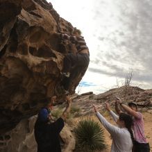 

Filename: SRM_20260104_1016570.jpg
Aperture: f/5.6
Shutter Speed: 1/500
Body: Canon EOS R6
Lens: Canon EF 16-35mm f/2.8 L